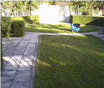 aerated-lawn